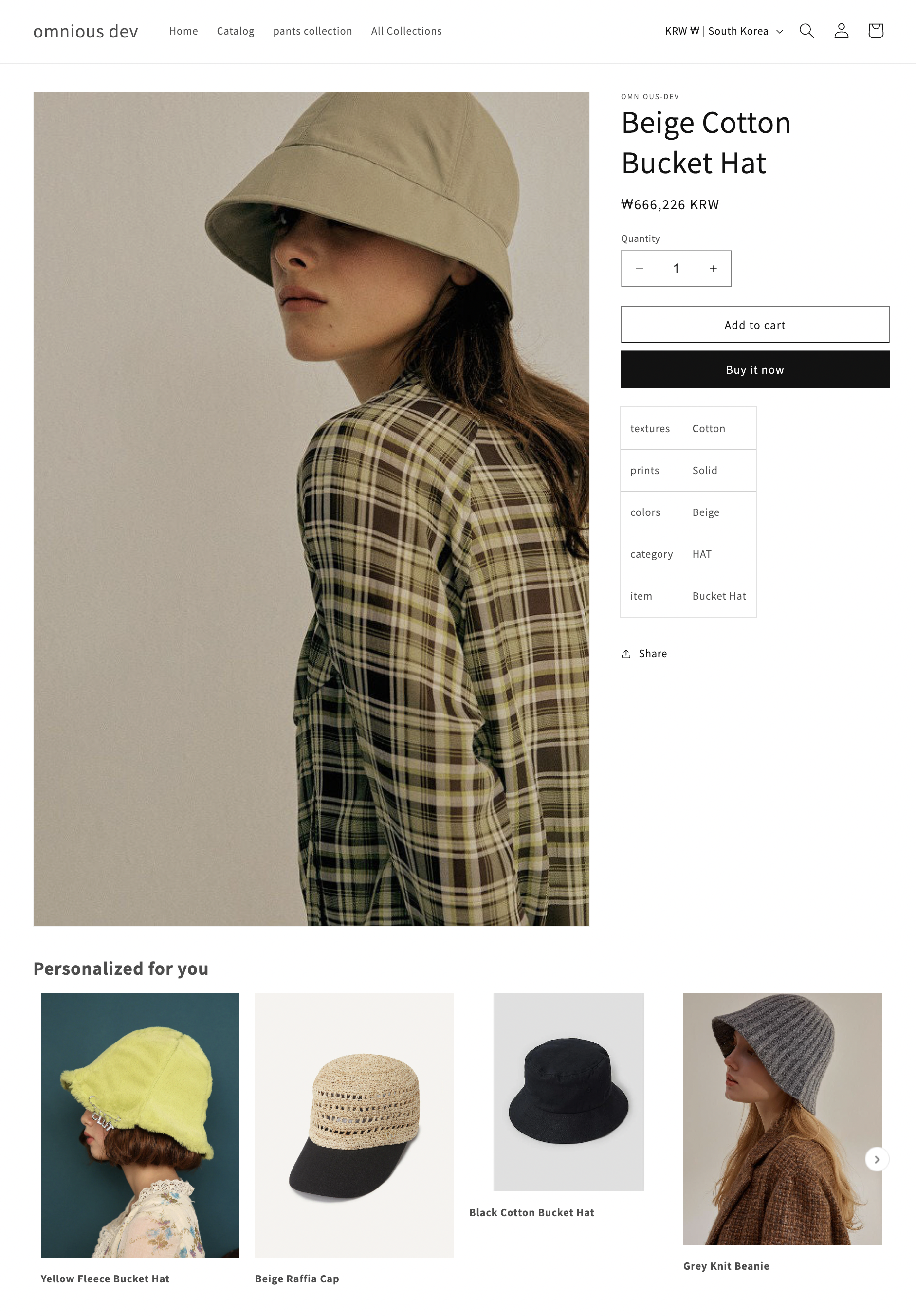 Shopify Theme Customize